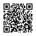 C&oacute;digo QR con el enlace al titular La ConstituciÃ³n por bandera