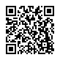 C&oacute;digo QR con el enlace al titular La Navidad, en Playmobil
