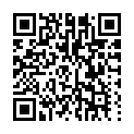 C&oacute;digo QR con el enlace al titular Los restos de diez aÃ±os sin vÃ­as