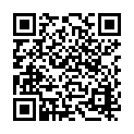 C&oacute;digo QR con el enlace al titular Los 'chalecos amarillos' ponen en jaque 246 millones en mercancÃ­as entre Francia y LeÃ³n