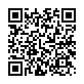 C&oacute;digo QR con el enlace al titular Villaquilambre se engalana por Navidad