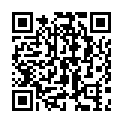C&oacute;digo QR con el enlace al titular Fallece una persona tras salirse de la vÃ­a y chocar contra una casa