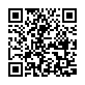C&oacute;digo QR con el enlace al titular Alerta por una pistola falsa durante la Nochevieja en la Puerta del Sol