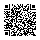 C&oacute;digo QR con el enlace al titular Barreda aprieta desde el principio y Sainz cede ante Al Attiyah