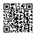 C&oacute;digo QR con el enlace al titular Vox aspira a presentarse en 100 municipios, tener representaciÃ³n en 40 e ir a por la AlcaldÃ­a de LeÃ³n