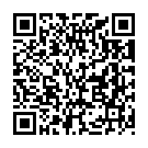 C&oacute;digo QR con el enlace al titular Un tiroteo contra la PolicÃ­a Nacional en un control