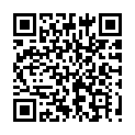 C&oacute;digo QR con el enlace al titular Villaquilambre busca mascota