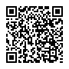 C&oacute;digo QR con el enlace al titular Detienen a 2 grafiteros que habÃ­an cometido delitos valorados en mÃ¡s de 847.000 euros
