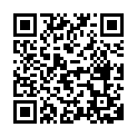 C&oacute;digo QR con el enlace al titular Â¿En quÃ© calle de LeÃ³n estamos?