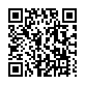 C&oacute;digo QR con el enlace al titular RÃ©cord nacional de aeronaves en Astorga