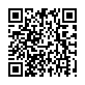C&oacute;digo QR con el enlace al titular La PolicÃ­a Nacional de LeÃ³n incorpora los distintivos ambientales para todos los vehÃ­culos