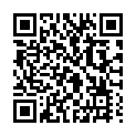 C&oacute;digo QR con el enlace al titular Villaquilambre se rinde al circo