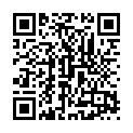 C&oacute;digo QR con el enlace al titular Los leoneses aÃºpan al Paso de la Borriquilla con sus palmas