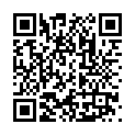 C&oacute;digo QR con el enlace al titular LeÃ³n contarÃ¡ con la renovaciÃ³n de 20.100 puntos de luz