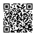 C&oacute;digo QR con el enlace al titular Llegar al elector