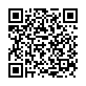 C&oacute;digo QR con el enlace al titular El pedÃ¡neo que llegÃ³ volando