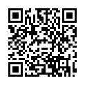 C&oacute;digo QR con el enlace al titular Elecciones Europeas, Â¿quÃ© nos jugamos?