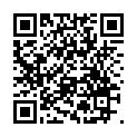 C&oacute;digo QR con el enlace al titular Un pregonero anuncia a caballo la salida de la enseÃ±a de Clavijo