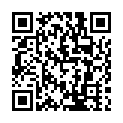 C&oacute;digo QR con el enlace al titular Blogueros para dar a conocer la provincia