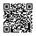 C&oacute;digo QR con el enlace al titular La playa un poco mÃ¡s cerca gracias al &ldquo;Tren Playero&rdquo;