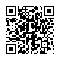 C&oacute;digo QR con el enlace al titular LugÃ¡n en los lÃ¡pices de Vicente