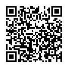 C&oacute;digo QR con el enlace al titular Nueve muertos al estrellarse una avioneta en el norte de Suecia