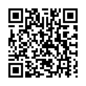 C&oacute;digo QR con el enlace al titular Los otros Apolos