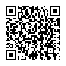 C&oacute;digo QR con el enlace al titular El conductor del accidente de Salamanca da positivo por alcohol y drogas