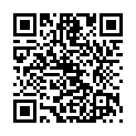 C&oacute;digo QR con el enlace al titular Las ElÃ©ctricas en el Museo de la Siderurgia