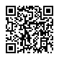 C&oacute;digo QR con el enlace al titular FIESTA DEL PEREGRINO 2019