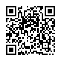 C&oacute;digo QR con el enlace al titular Parques temÃ¡ticos