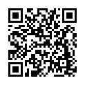C&oacute;digo QR con el enlace al titular Cazan a un joven de 21 aÃ±os a 215 kilÃ³metros en una vÃ­a con velocidad limitada a 120