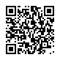 C&oacute;digo QR con el enlace al titular VANDALISMO en los columpios