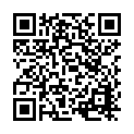 C&oacute;digo QR con el enlace al titular Cuatro heridos tras un atropello y tres accidentes mÃ¡s en apenas 20 minutos en la provincia de LeÃ³n