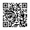 C&oacute;digo QR con el enlace al titular Mundos en miniatura