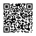 C&oacute;digo QR con el enlace al titular Fuego (simulado) en la Catedral