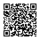 C&oacute;digo QR con el enlace al titular La senadora Jeanine AÃ±ez asume la presidencia de Bolivia sin quÃ³rum en el Parlamento