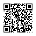 C&oacute;digo QR con el enlace al titular El Museo del Bierzo muestra el arte rupestre del occidente de la Comunidad