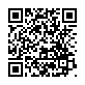 C&oacute;digo QR con el enlace al titular â€œEl pintor de almasâ€
