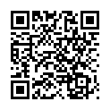 C&oacute;digo QR con el enlace al titular 4.- PLENO de HOY / Presupuestos