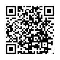 C&oacute;digo QR con el enlace al titular La nieve obliga a circular con cadenas en varios tramos de la red secundaria de LeÃ³n