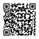 C&oacute;digo QR con el enlace al titular Cortada la avenida del Bierzo por hielo en la calzada