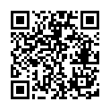 C&oacute;digo QR con el enlace al titular El escritor XI