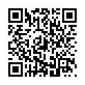C&oacute;digo QR con el enlace al titular Un remolque choca contra el ojo del puente de San Marcos y bloquea el paso