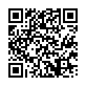 C&oacute;digo QR con el enlace al titular La inversiÃ³n en el AVE es diez veces superior a la que recibe el ferrocarril convencional en Castilla y LeÃ³n