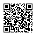 C&oacute;digo QR con el enlace al titular Lectores de matrÃ­cula para comprobar si la ITV estÃ¡ en vigor