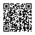 C&oacute;digo QR con el enlace al titular Diez tramos de carretera continÃºan necesitando las cadenas por la nieve