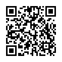 C&oacute;digo QR con el enlace al titular Solapa
