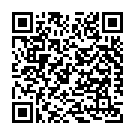 C&oacute;digo QR con el enlace al titular Un aviÃ³n con 183 ocupantes se parte en tres al salirse de la pista en Estambul