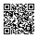 C&oacute;digo QR con el enlace al titular Dos salidas de la vÃ­a en la LE-30, una de madrugada, se saldan con un herido